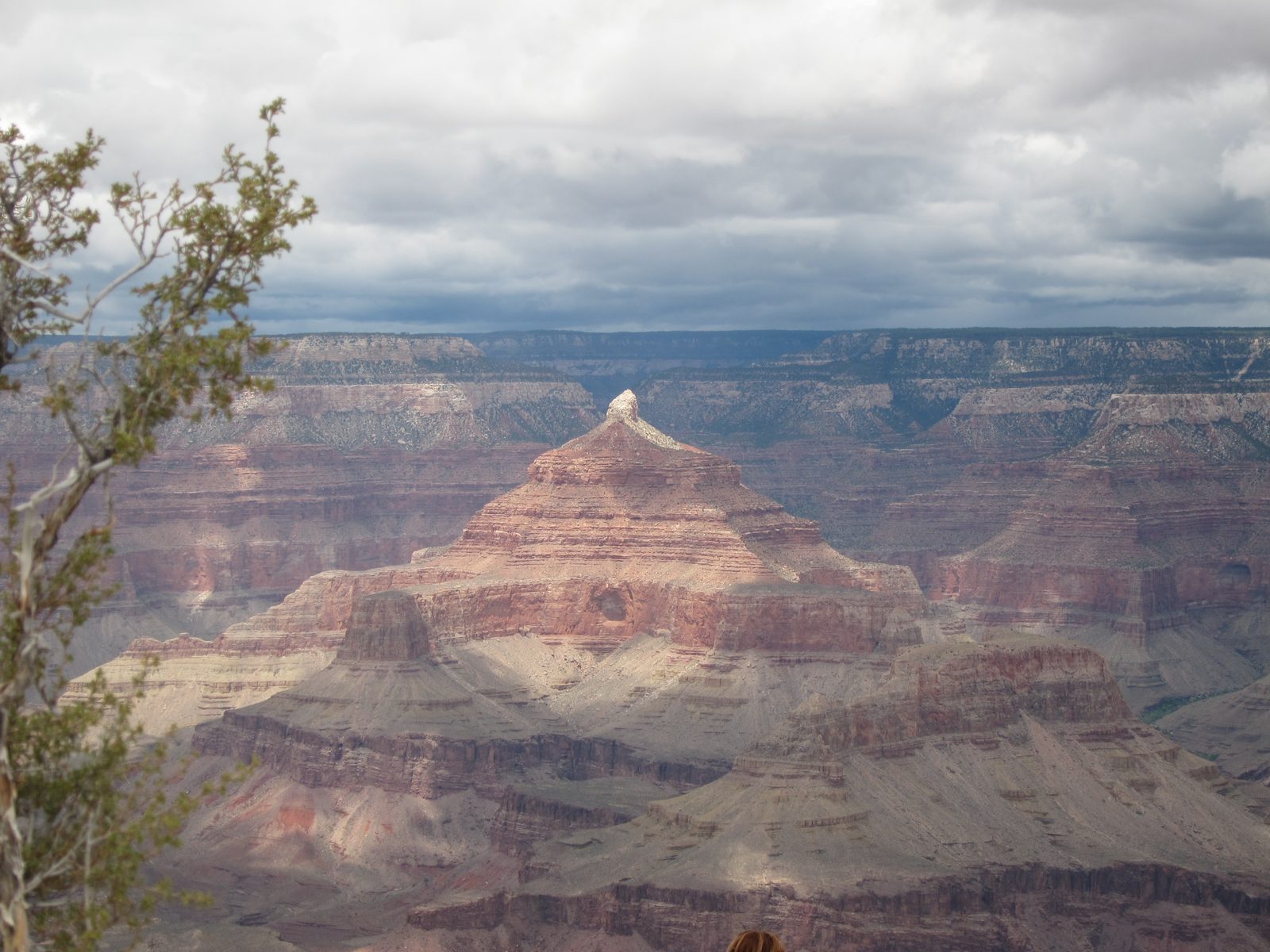 Looks like a Peter picture to me, with the tree branch in the foreground